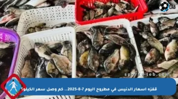 قفزة أسعار الدنيس في مطروح اليوم 7-8-2025.. كم وصل سعر الكيلو؟